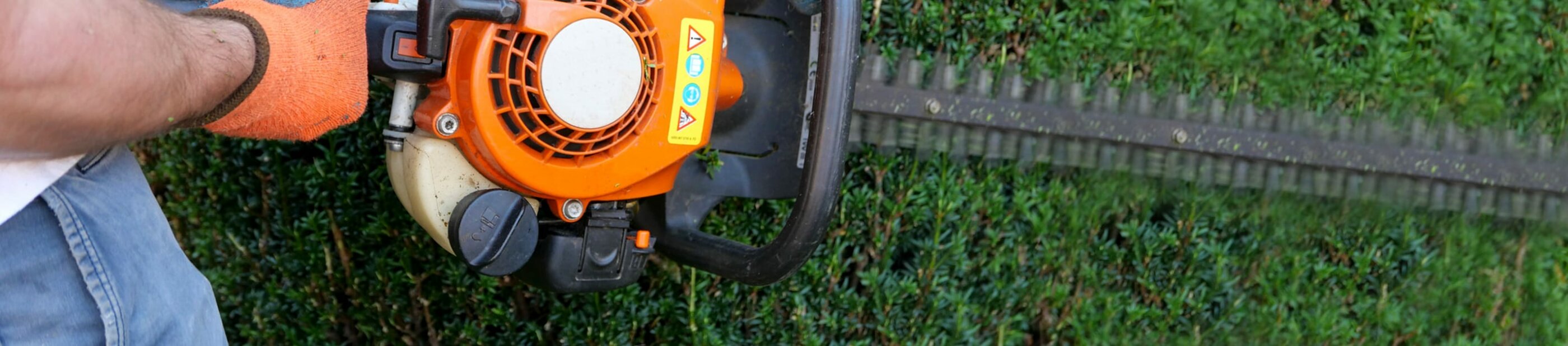 man cutting bush with a hedge trimmer